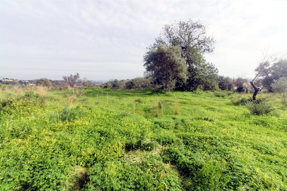 Land in Loule (Sao Clemente), Algarve, Portugal 3 - 14389575