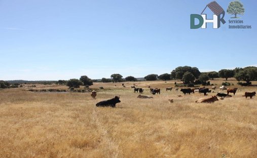 Land in Salamanca, Castile and Leon, Spain 1