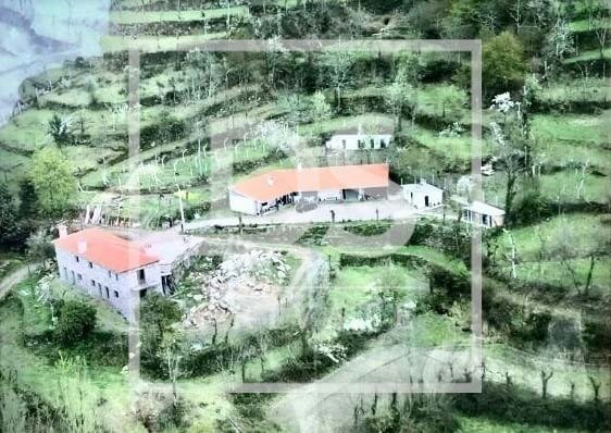 Farm Ranch in Varzea, Aliviada e Folhada, Porto District, Portugal 5 - 14388052