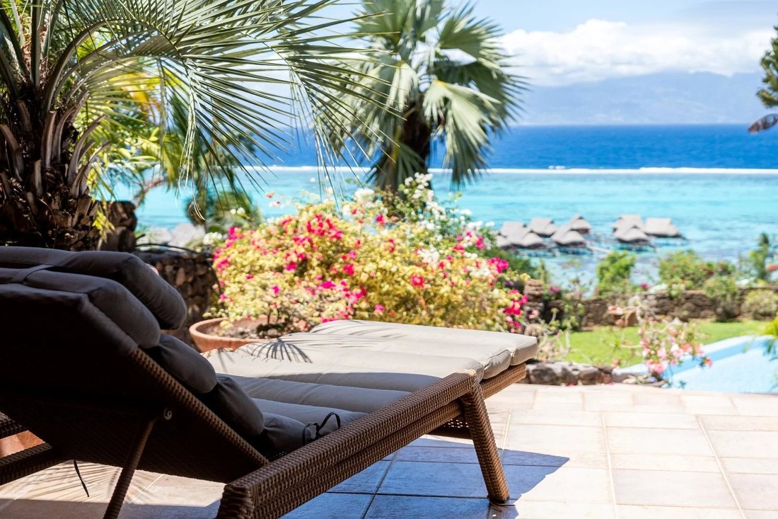 Moorea Teavaro Rare And High Standard In Moorea Maiao, French