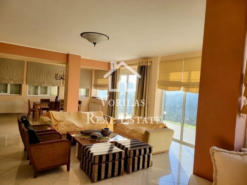 House in Anavissos, Attica, Greece 5 - 13227152