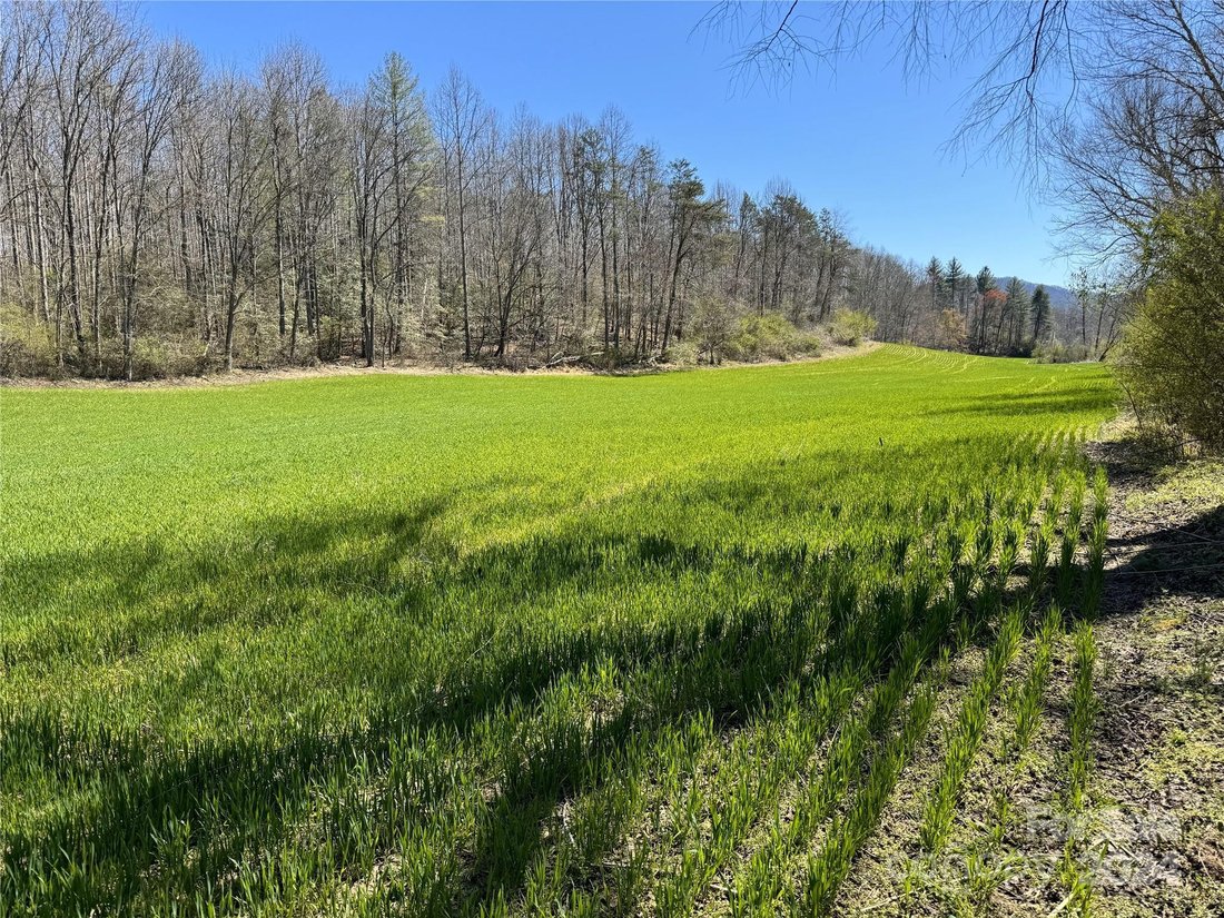 Land in Boomer, North Carolina, United States 4 - 14392897