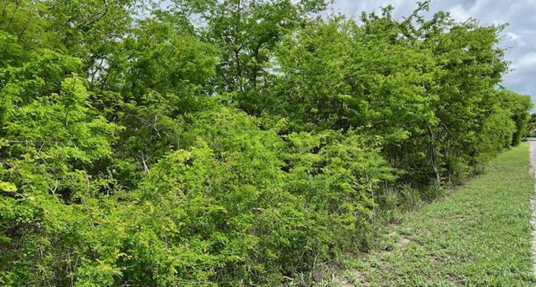 Land in Savannah, Bodden Town, Cayman Islands 4 - 14393559