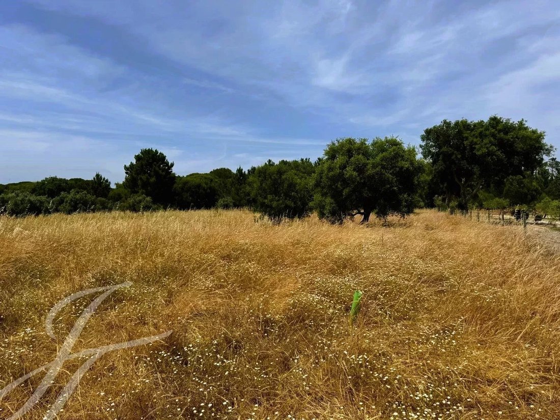 Terreno a Melides, Setúbal Municipality, Portogallo 2 - 14401047