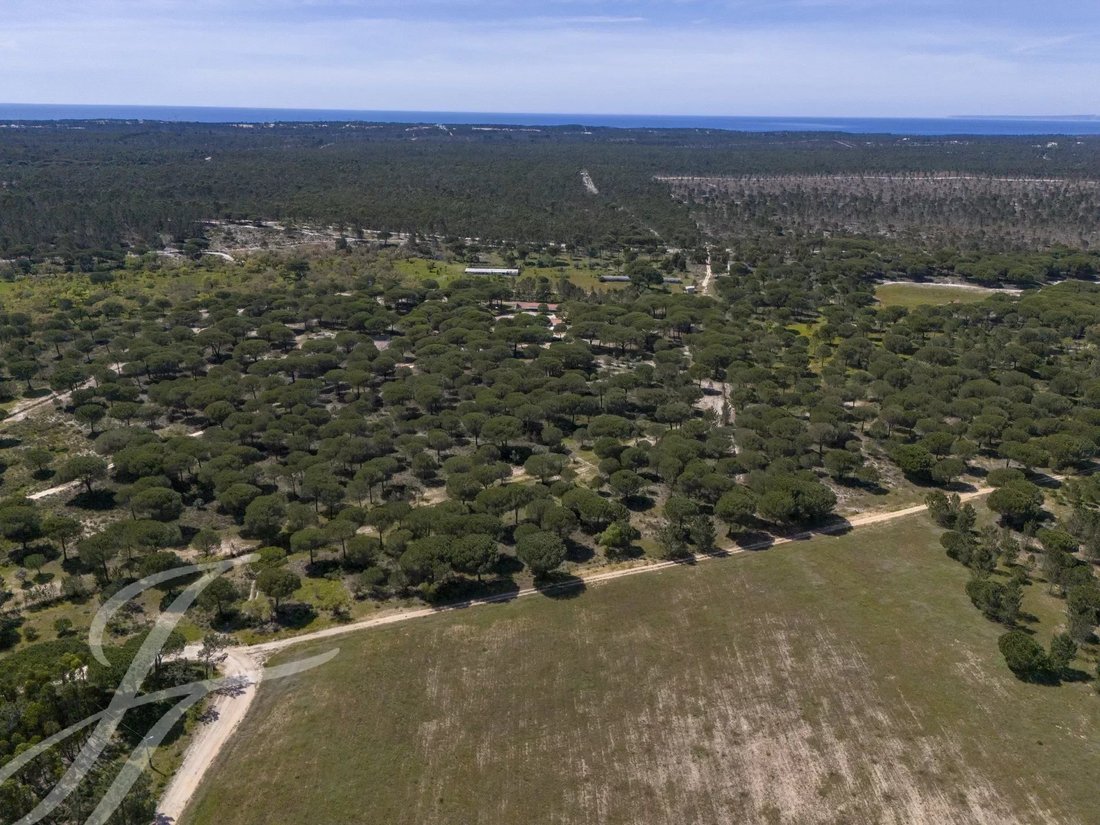 Terreno a Melides, Setúbal Municipality, Portogallo 4 - 14401047