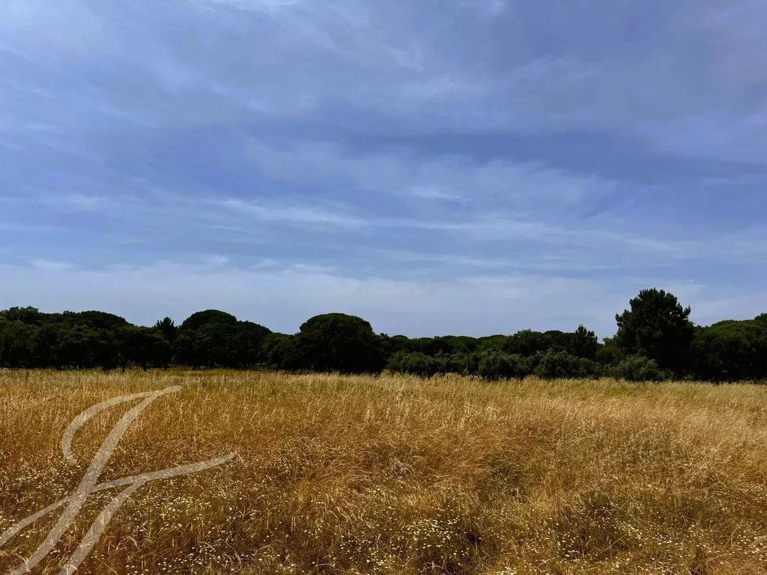 Terreno a Melides, Setúbal Municipality, Portogallo 3 - 14401047