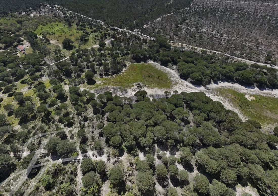 Terreno a Melides, Setúbal Municipality, Portogallo 5 - 14401047