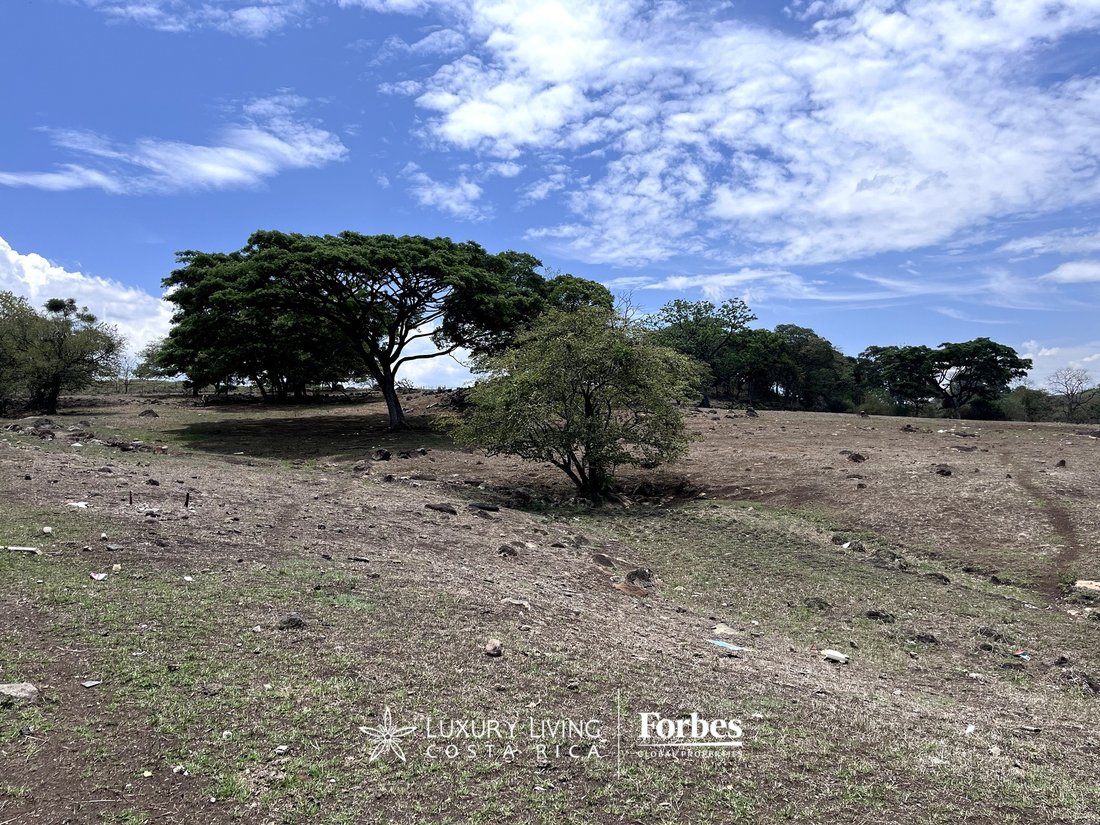 Land in Guácima, Alajuela Province, Costa Rica 2 - 14406046