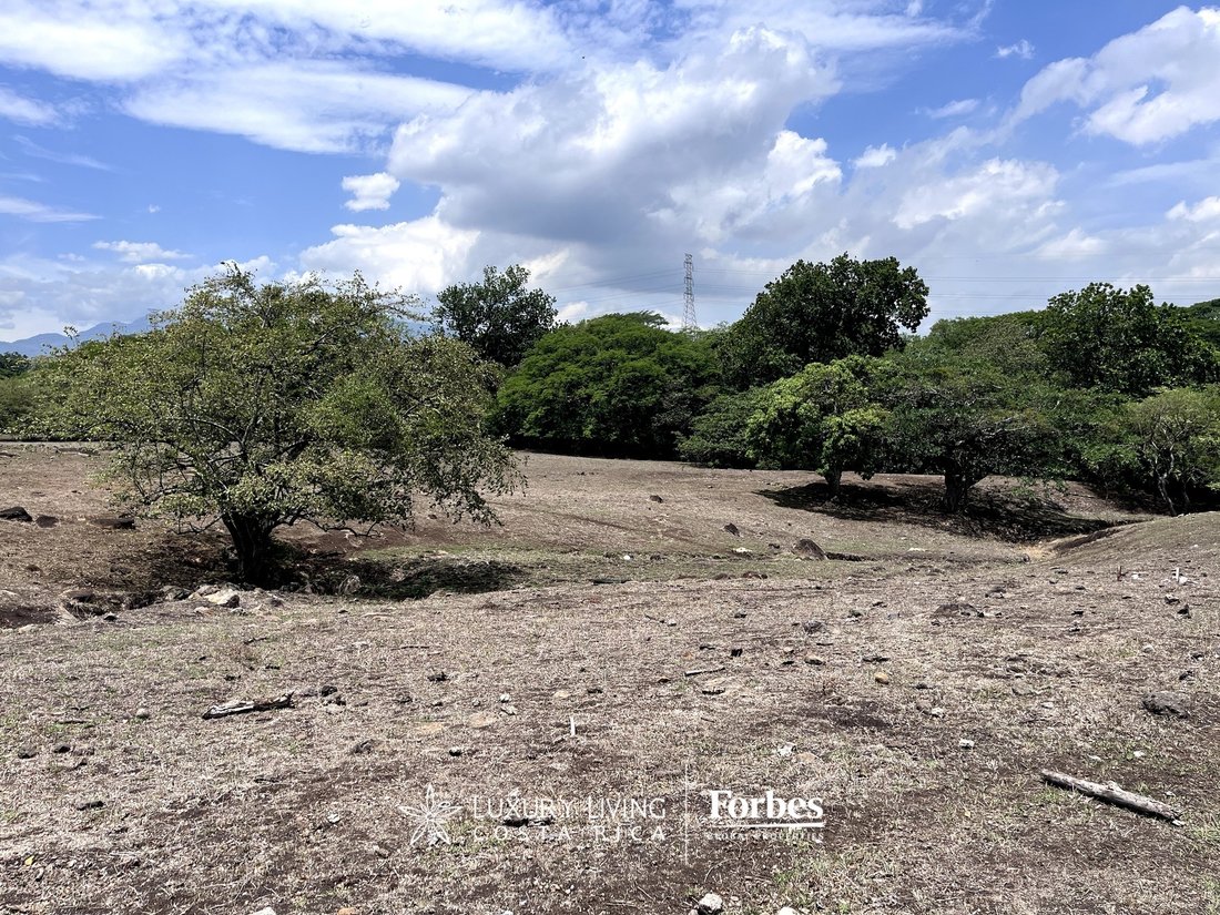 Land in Guácima, Alajuela Province, Costa Rica 4 - 14406046