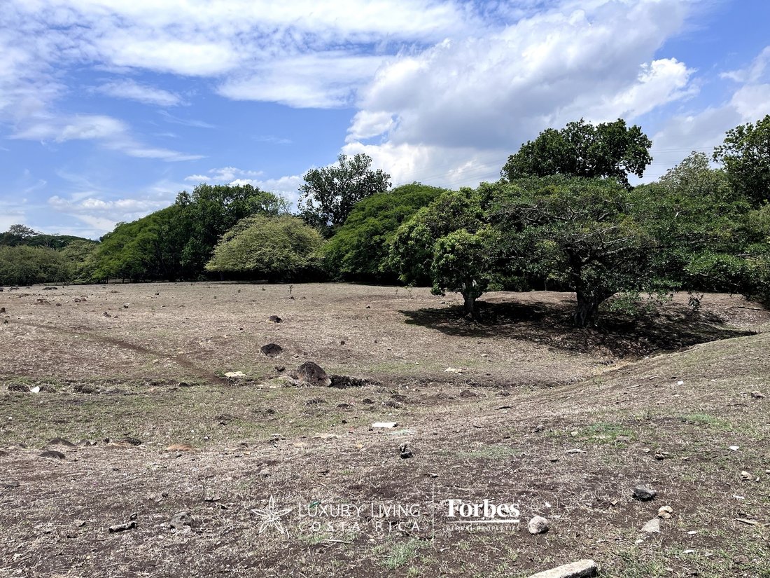 Land in Guácima, Alajuela Province, Costa Rica 3 - 14406046