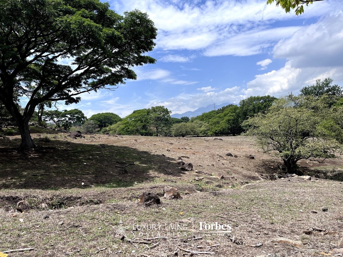 Land in Guácima, Alajuela Province, Costa Rica 5 - 14406046