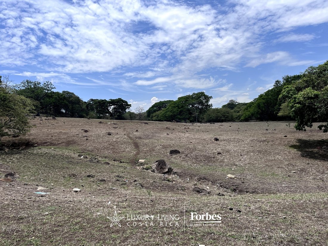 Land in Guácima, Alajuela Province, Costa Rica 1 - 14406046