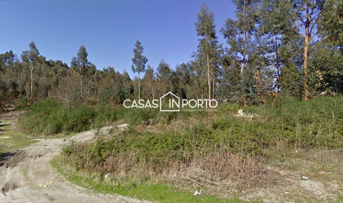 Land in Silvares, Pias, Nogueira e Alvarenga, Porto District, Portugal 3 - 14405837
