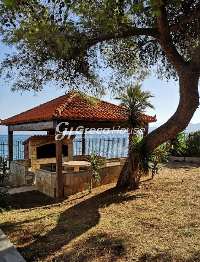 Villa in Drosia Municipal Commune, Anthidon, Greece 4 - 14405749