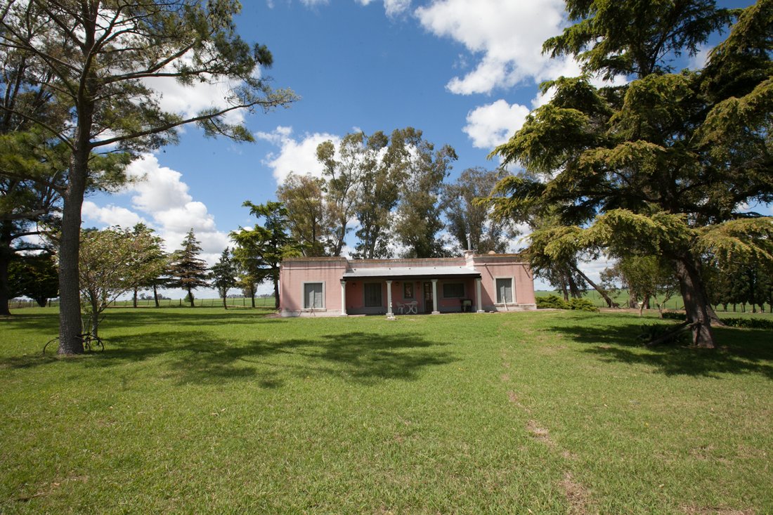 Farm In Arrecifes, 68 Hectares In Buenos Aires, Buenos Aires, Argentina ...