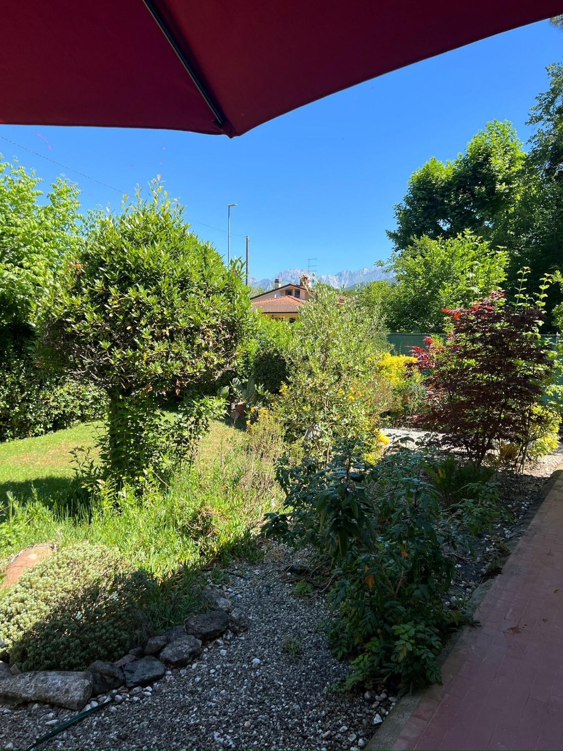House in Ronchi, Massa, Italy 5 - 14406339