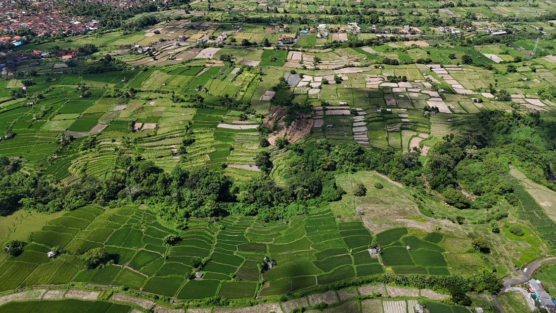 Land in Gianyar, Bali, Indonesia 2 - 14412548