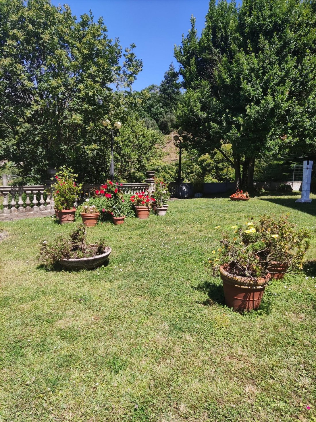 Villa in Stadium - Sant'Antonio - Marasio, Marina di Carrara, Tuscany 5 - 14415391