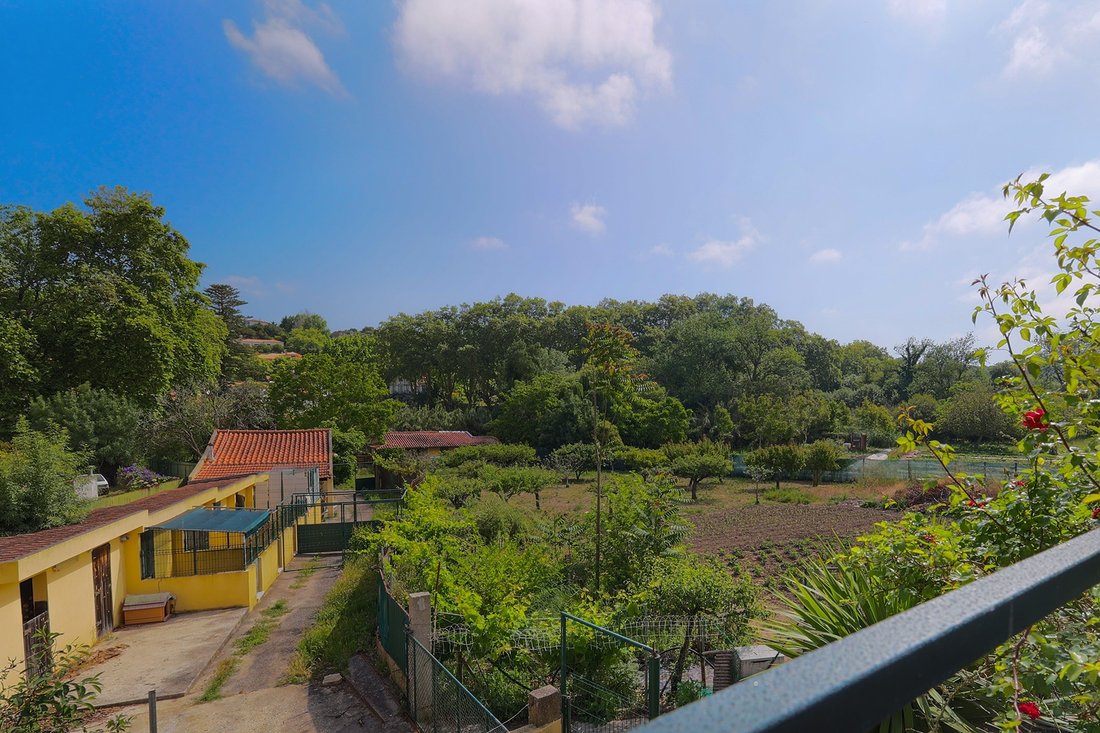 House in Colares, Lisbon, Portugal 4 - 14414899