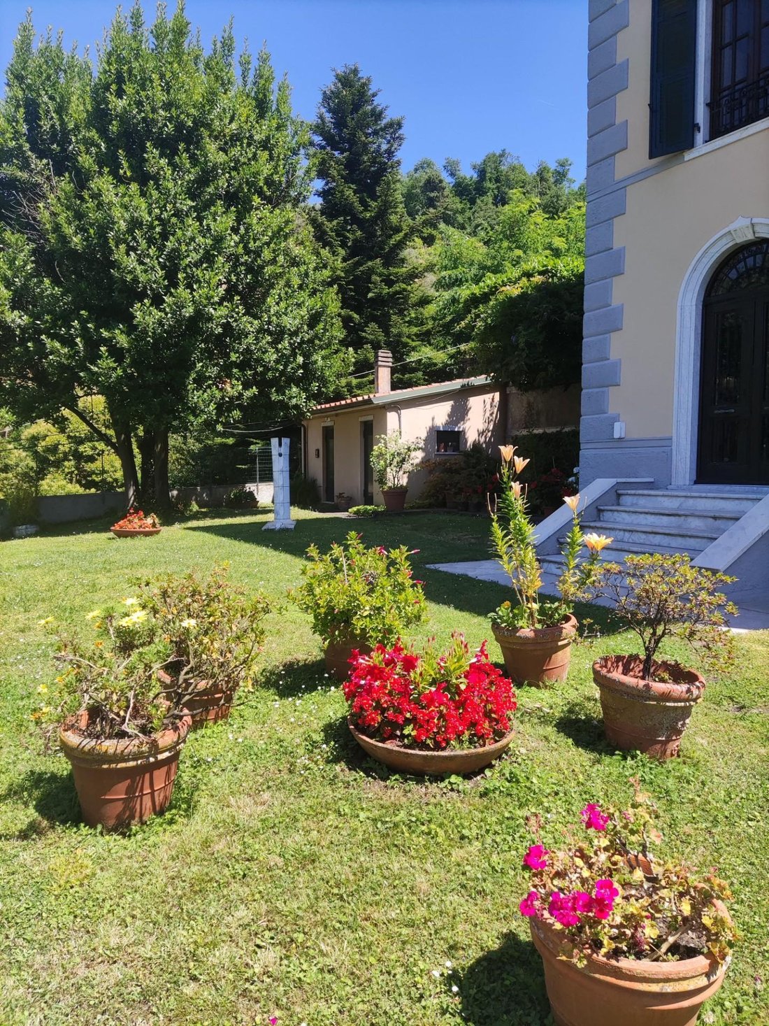 Villa in Stadium - Sant'Antonio - Marasio, Marina di Carrara, Tuscany 3 - 14415391
