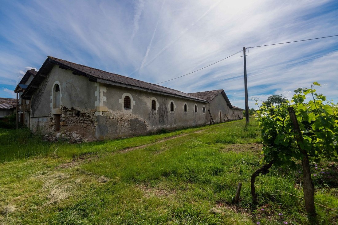 Le Marin’s Slumbering Grandeur: A 19th-Century Château Awaits Its Renaissance in Bordeaux’s Vine-Kissed Hills