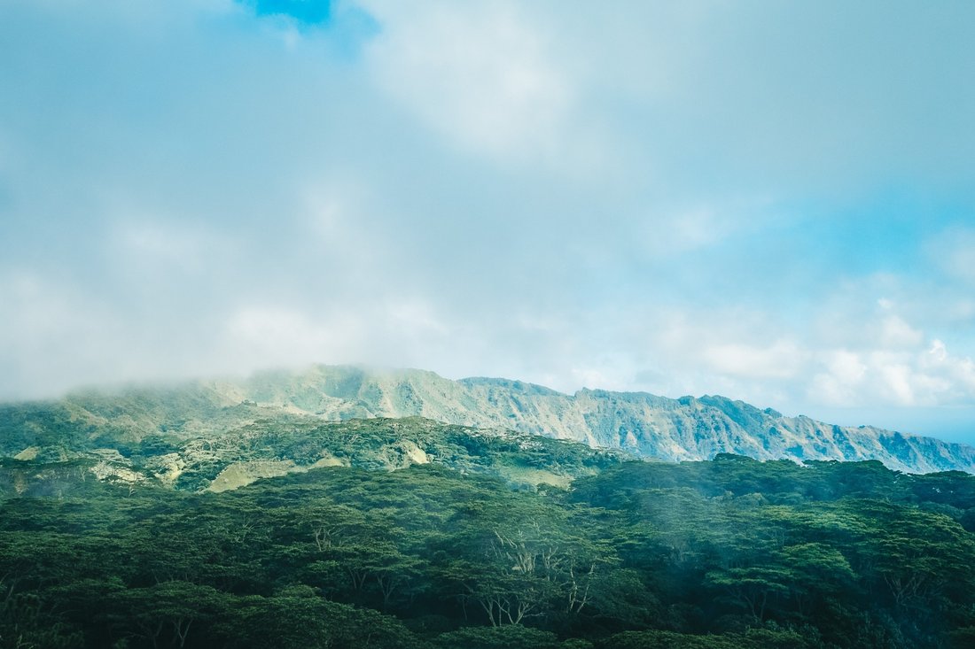 Land in Hiva Oa, Marquesas Islands, French Polynesia 4 - 14416743