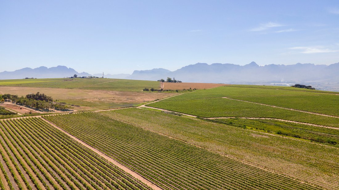 Farm Ranch in Stellenbosch, Western Cape, South Africa 4 - 14418143
