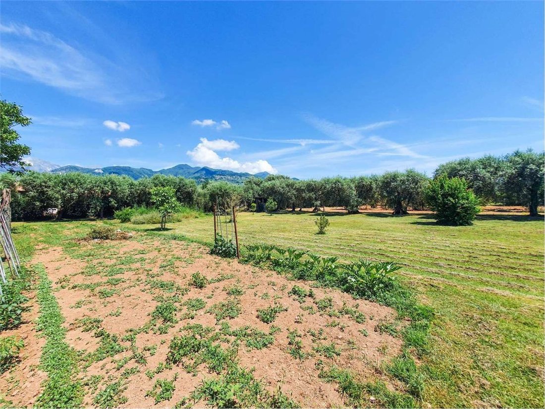 Land in Pietrasanta, Tuscany, Italy 2 - 12268210
