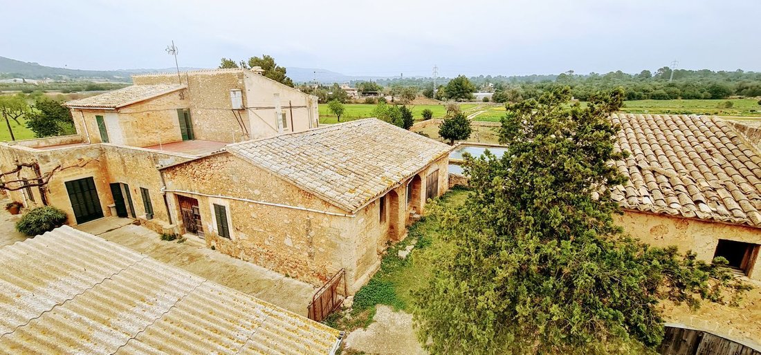 Country House in Palma, Balearic Islands, Spain 5 - 12081332