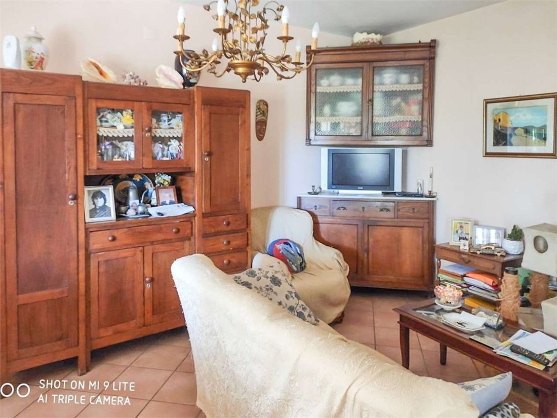 Land in Pietrasanta, Tuscany, Italy 4 - 12268210