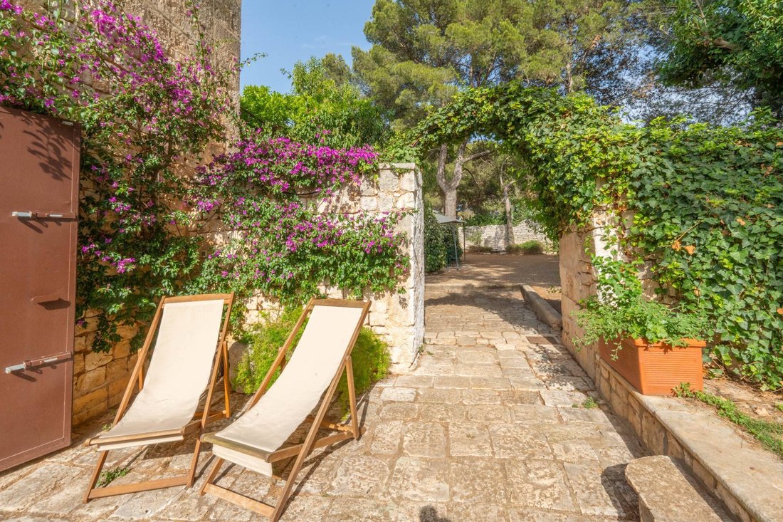 Farm Ranch in Conversano, Apulia, Italy 5 - 14417513