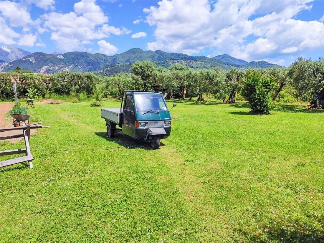 Land in Pietrasanta, Tuscany, Italy 1 - 12268210