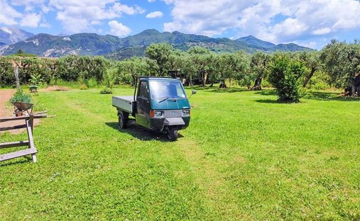 Land in Pietrasanta, Tuscany, Italy 1