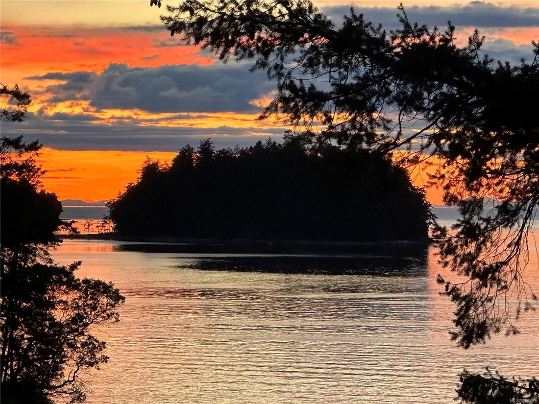 A Slice Of Serenity On A 3 Acre In Lasqueti Island British Columbia   1100xxs 