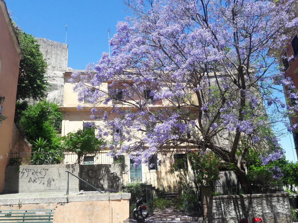 Estate in Corfu, Peloponnese, Western Greece and the Ionian, Greece 2 - 14423752