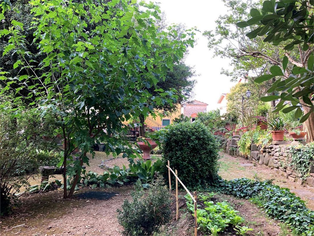 Villa in Collodi-Ponte all'Abate-Monte a Pescia, Pescia, Tuscany 4 - 14422675