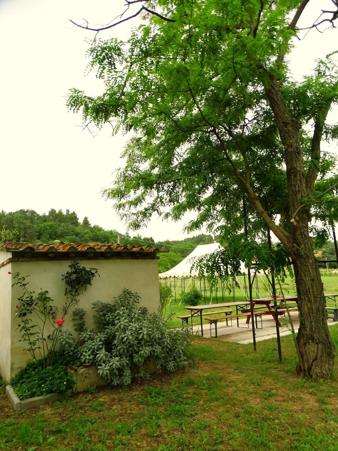 House in San Miniato, Tuscany, Italy 3 - 14421019