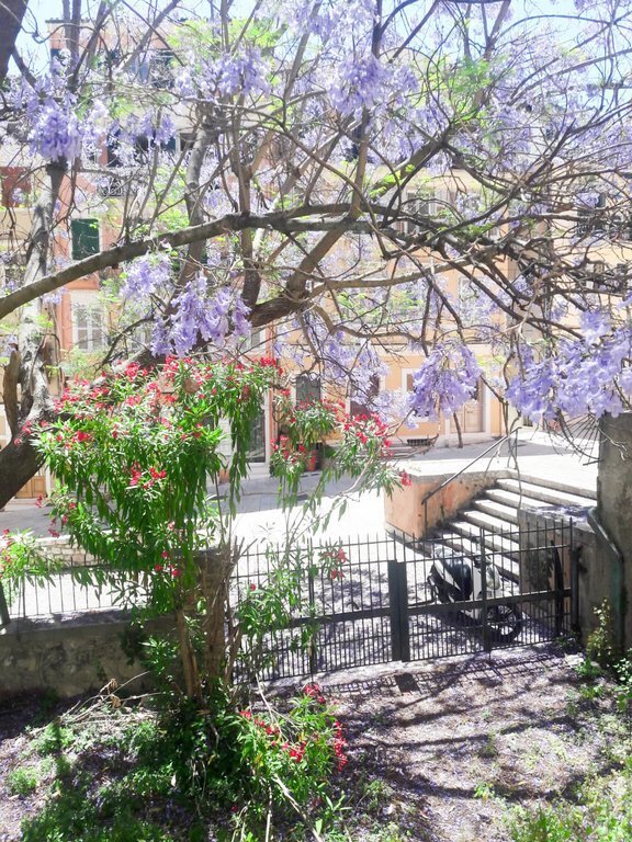 Estate in Corfu, Peloponnese, Western Greece and the Ionian, Greece 3 - 14423752