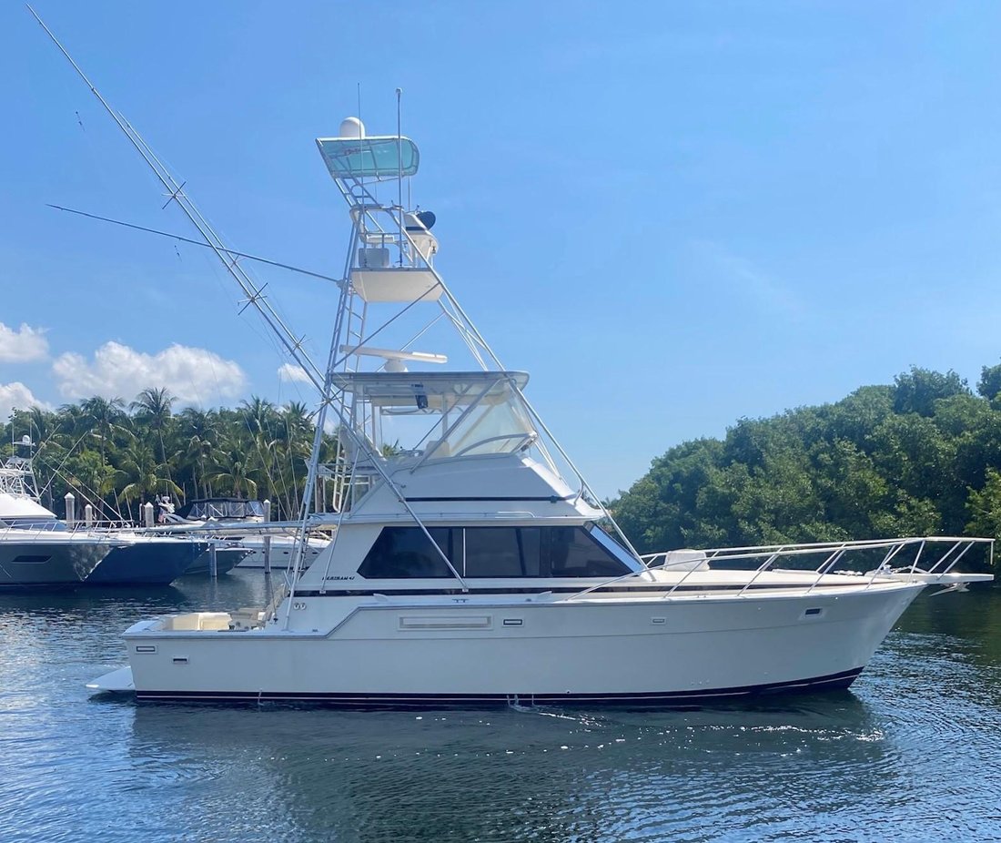 Sport Fisherman in United States 1 - 14421078