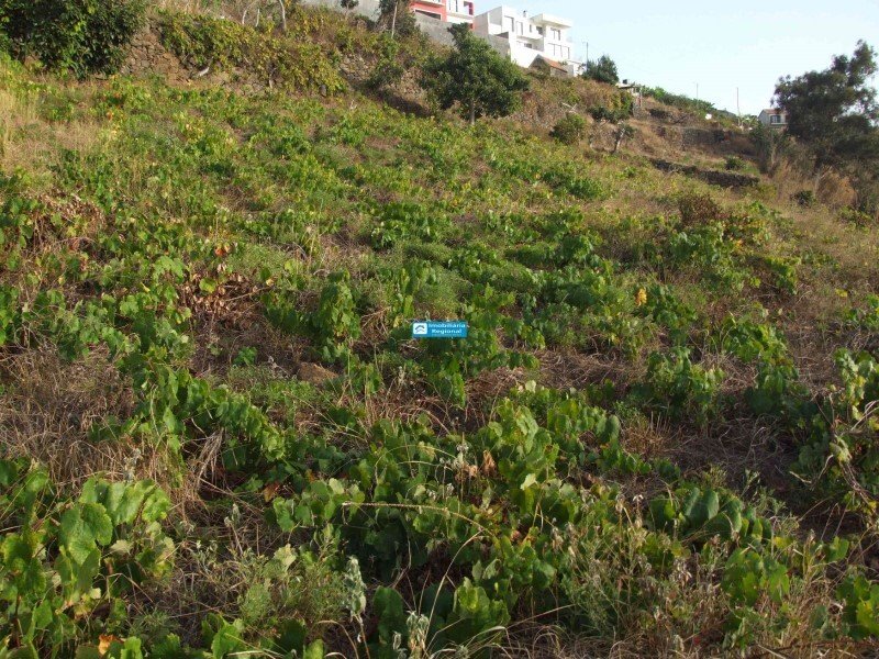 Land in Arco da Calheta, Autonome Region Madeira, Portugal 5 - 14429074