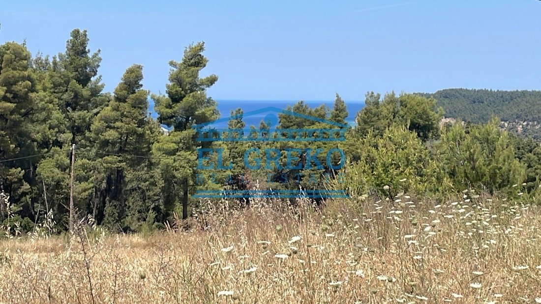 Land in Kassandra, Macedonia and Thrace, Greece 1 - 14428109