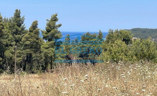 Land in Kassandra, Macedonia and Thrace, Greece 1