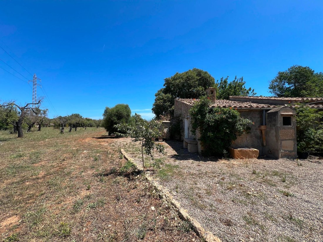 Land in Pollença, Balearische Inseln, Spanien 3 - 14425845