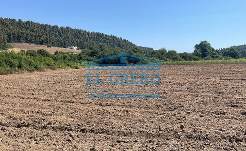 Land in Kassandra, Macedonia and Thrace, Greece 1