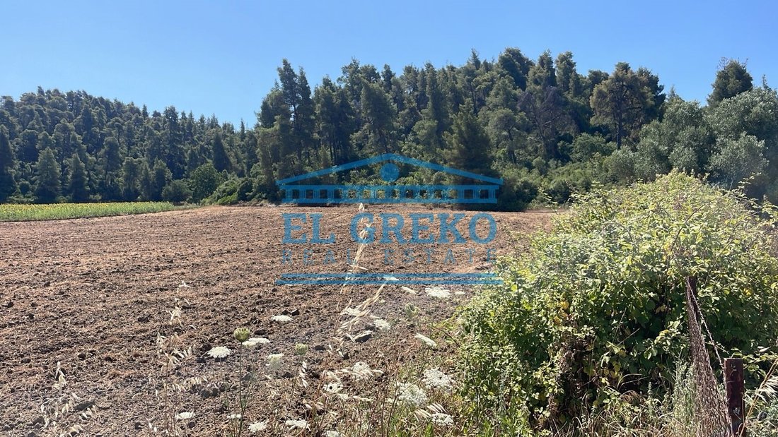 Land in Kassandra, Macedonia and Thrace, Greece 5 - 14428107