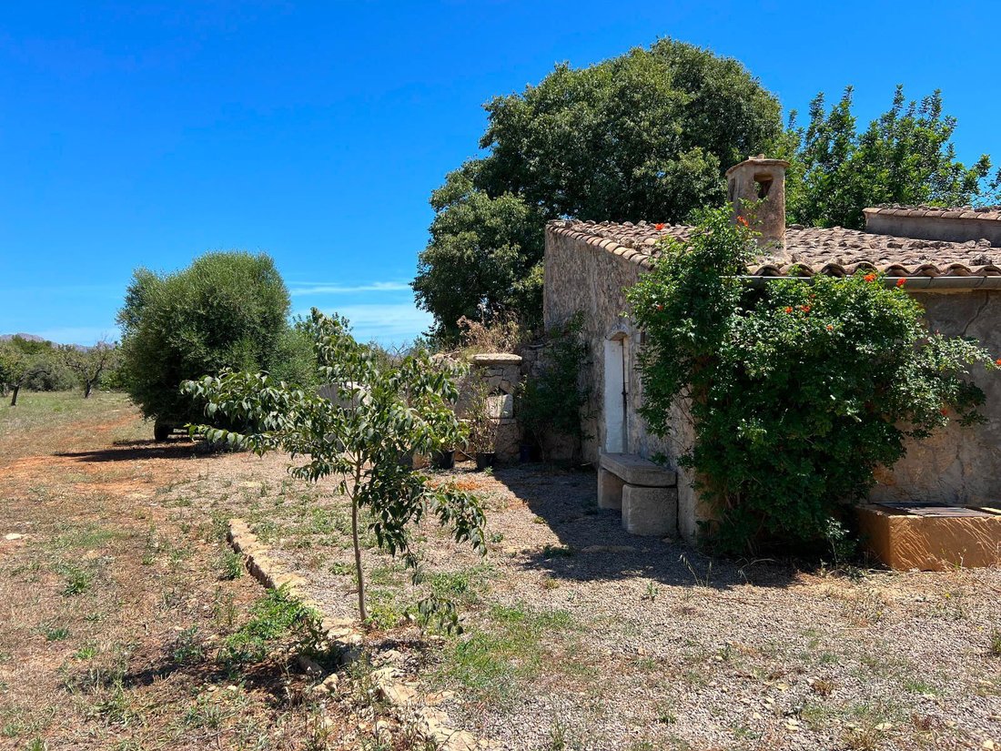 Land in Pollença, Balearische Inseln, Spanien 2 - 14425845