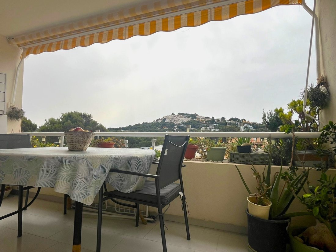 Apartment in Calvia, Balearic Islands, Spain 2 - 14425435
