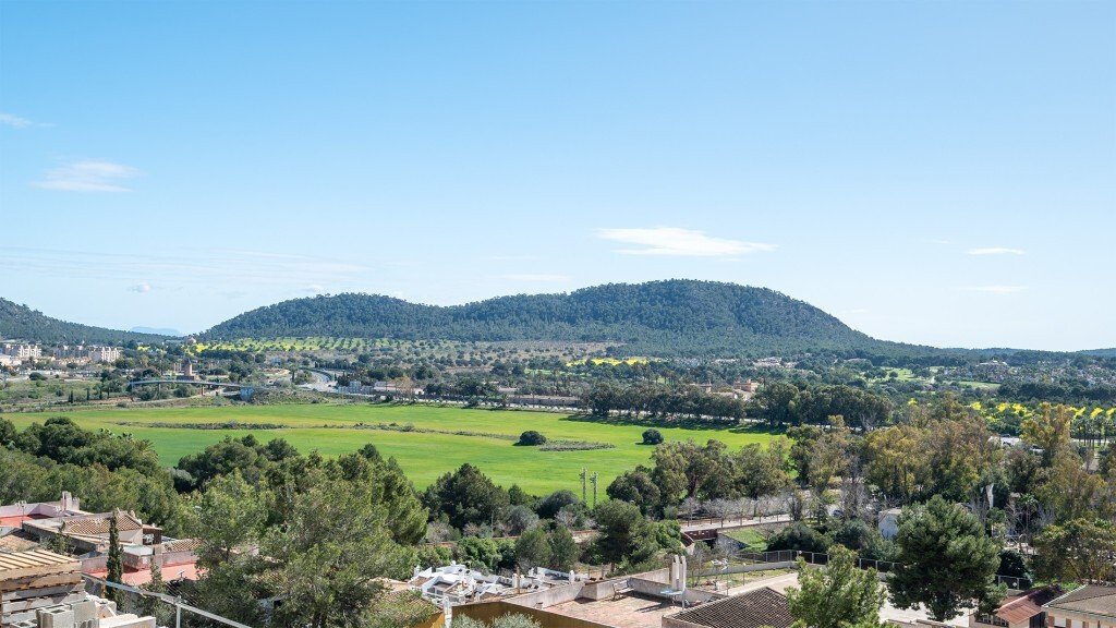 Apartment in Rotes Velles, Calvia, Balearic Islands 2 - 12467633