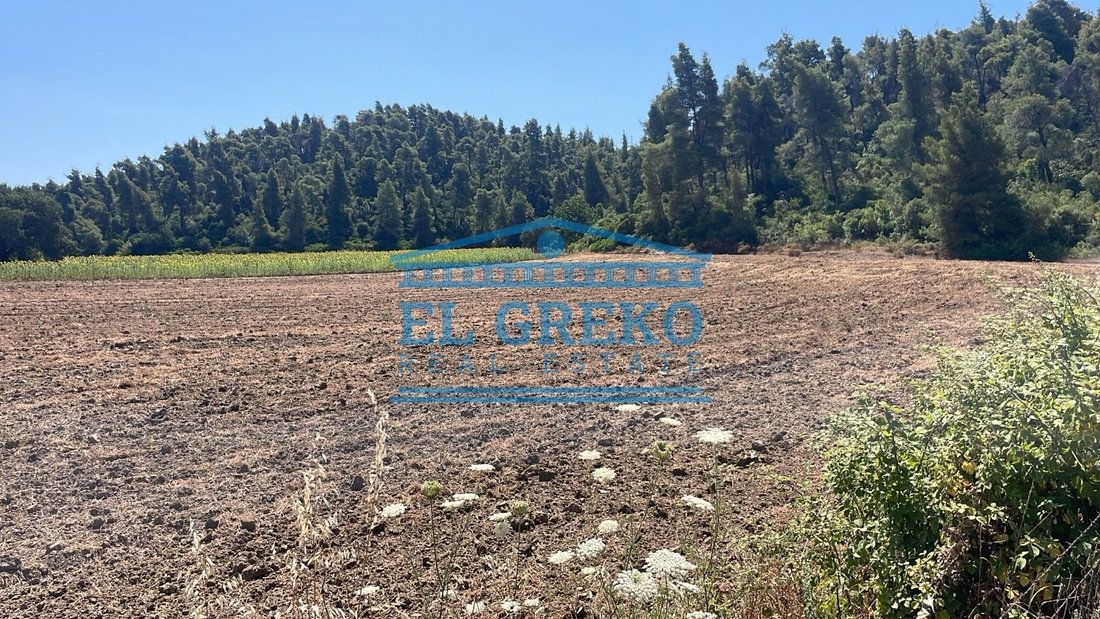 Land in Kassandra, Macedonia and Thrace, Greece 4 - 14428107