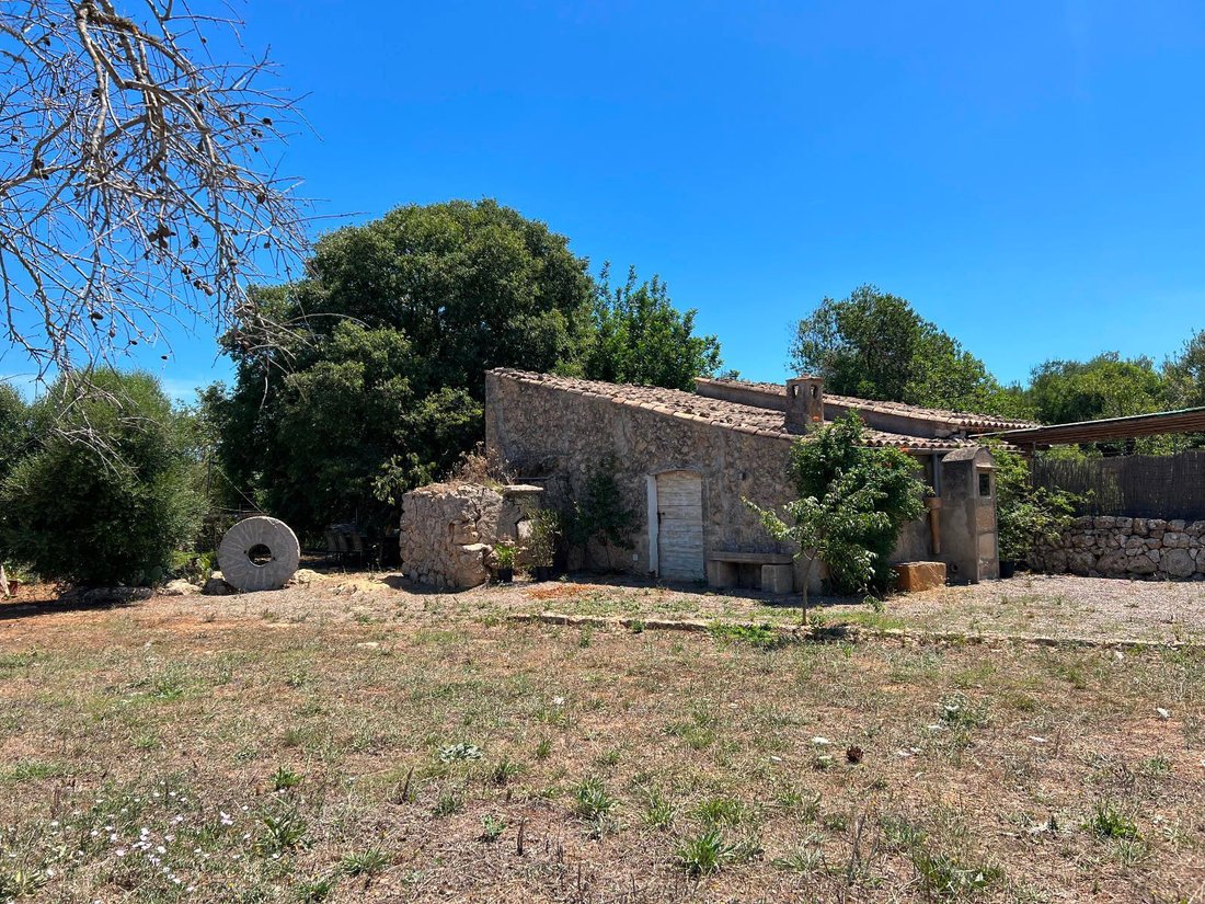 Land in Pollença, Balearische Inseln, Spanien 1 - 14425845